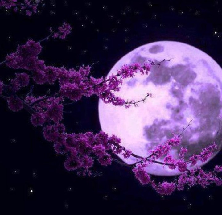 moon