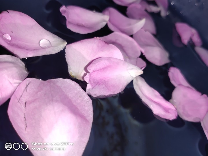 rose water