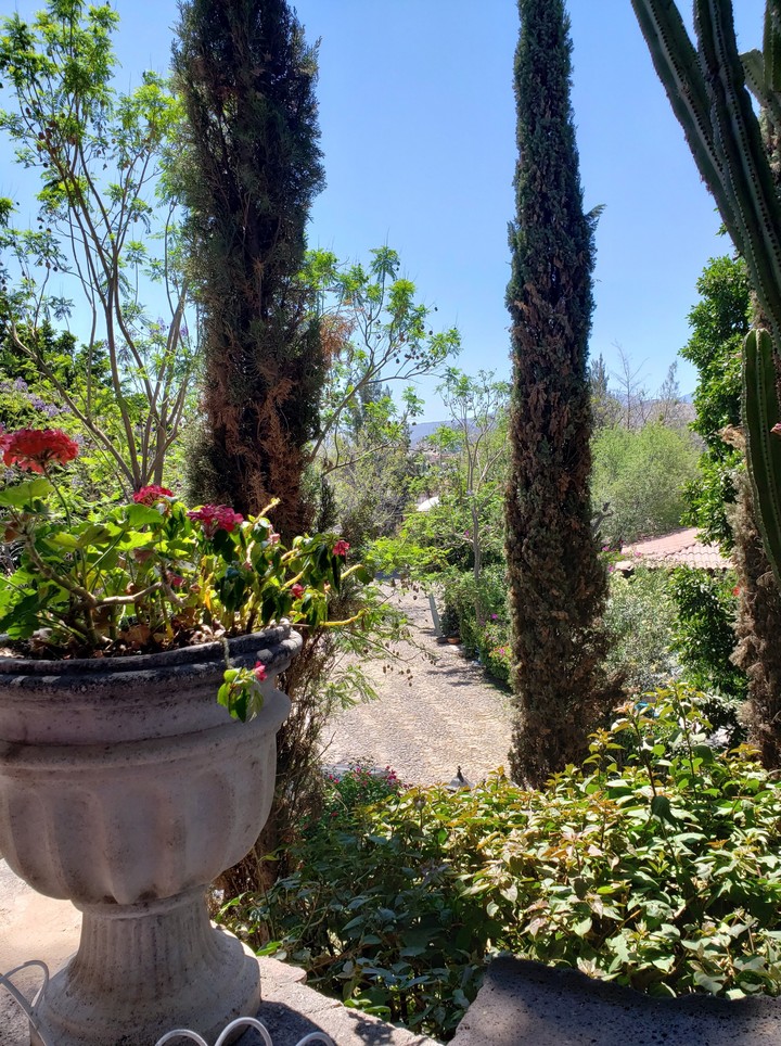 Hotel Casa Bugambilias
