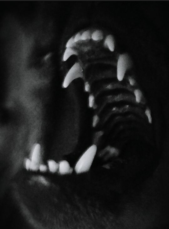 black and white
