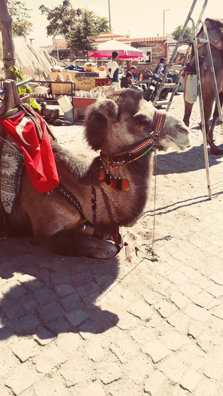 ÜÇHİSAR KAPADOKYA