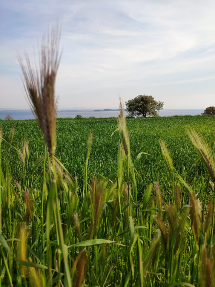 Çanakkale/Gallipoli