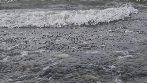 Puget Sound Tides