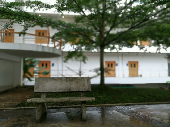Lonely bench.