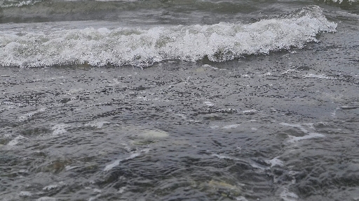 Puget Sound Tides