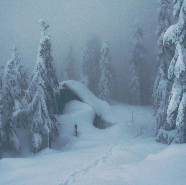 Home in the snow