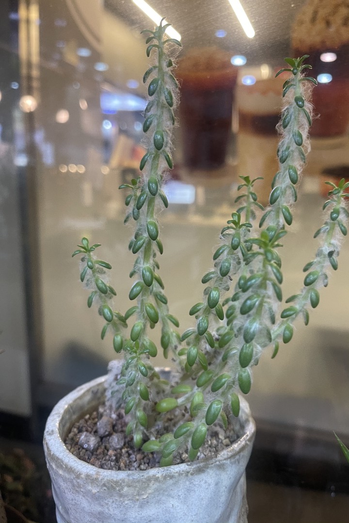 너 이름이?
