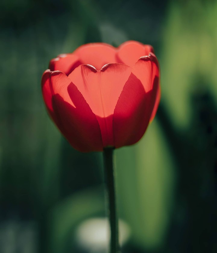 °•♡°•♡°•♡°•