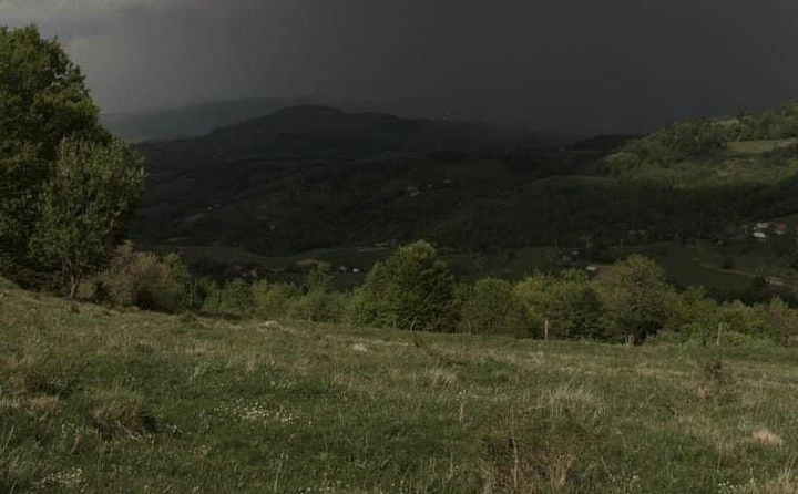 dark cottagecore