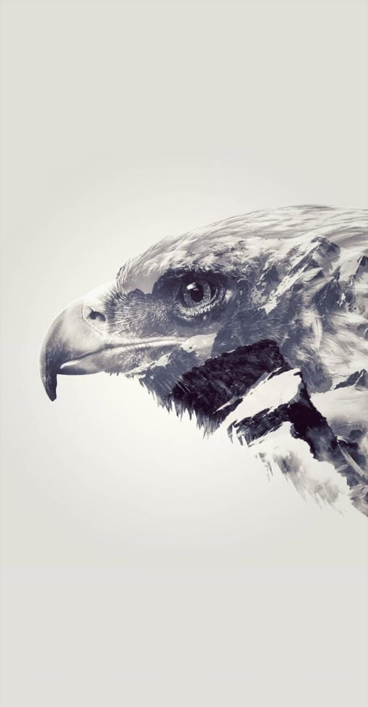 The EAGLE
