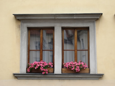 window