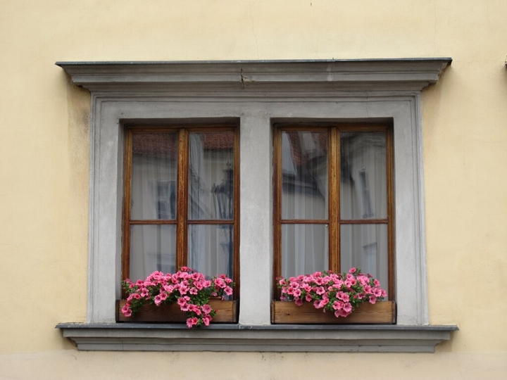window