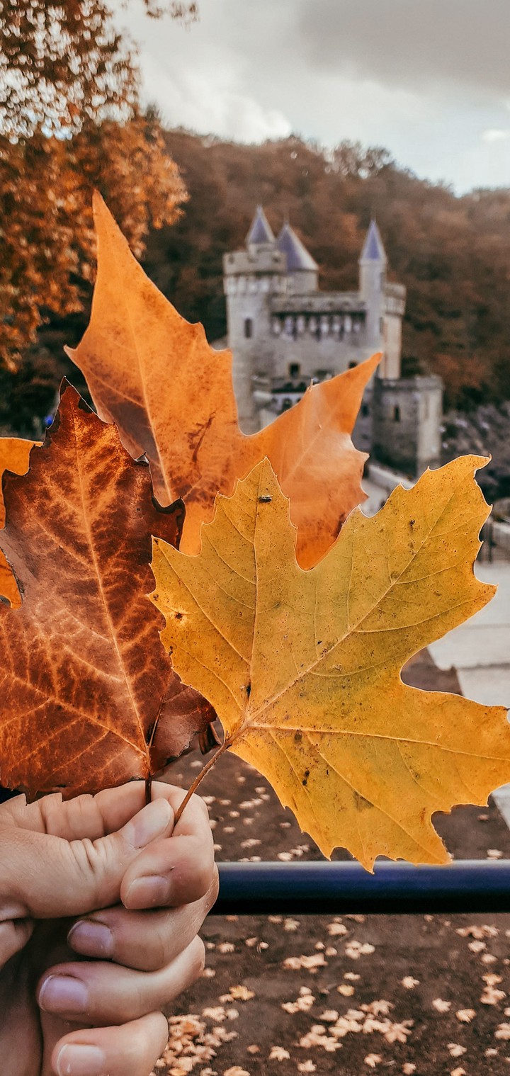 Autumn