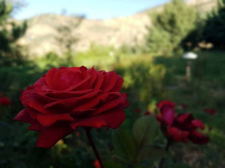 Iran,lavasan