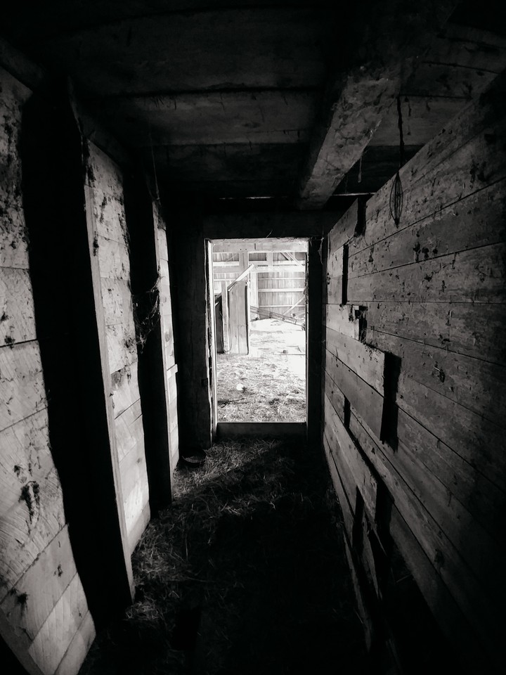 Barn Stall