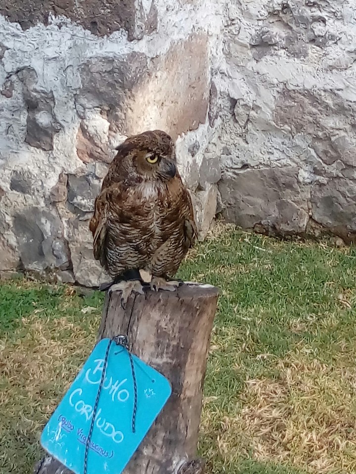 santuario de aves valquirico