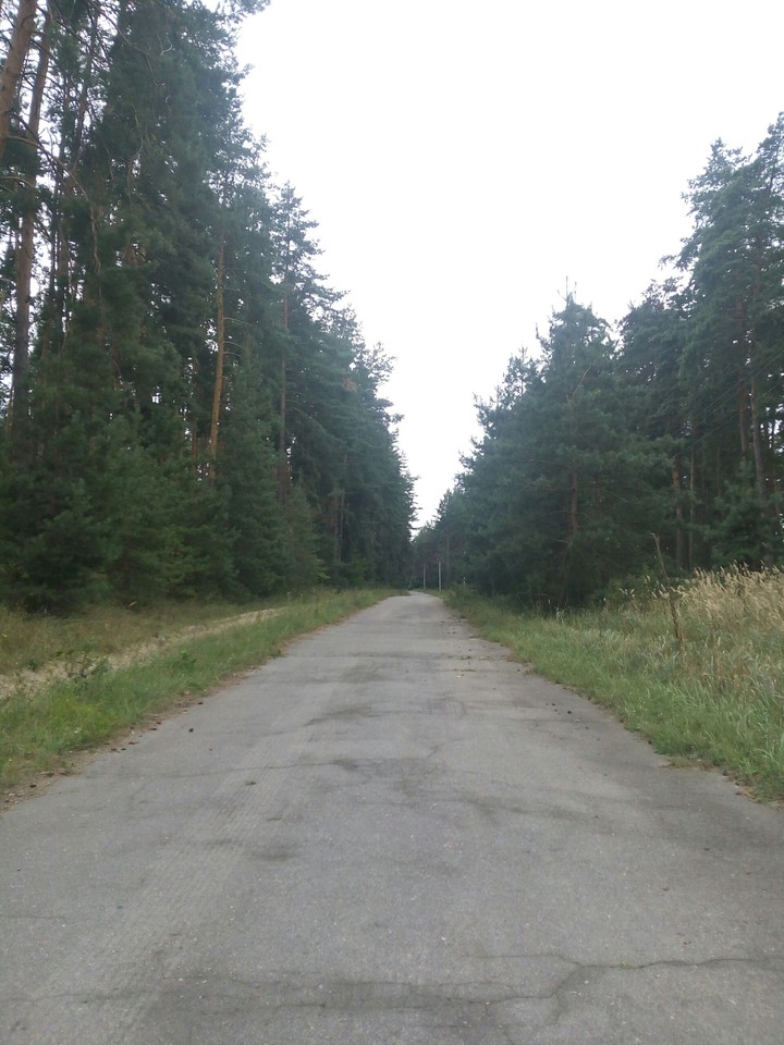 лес