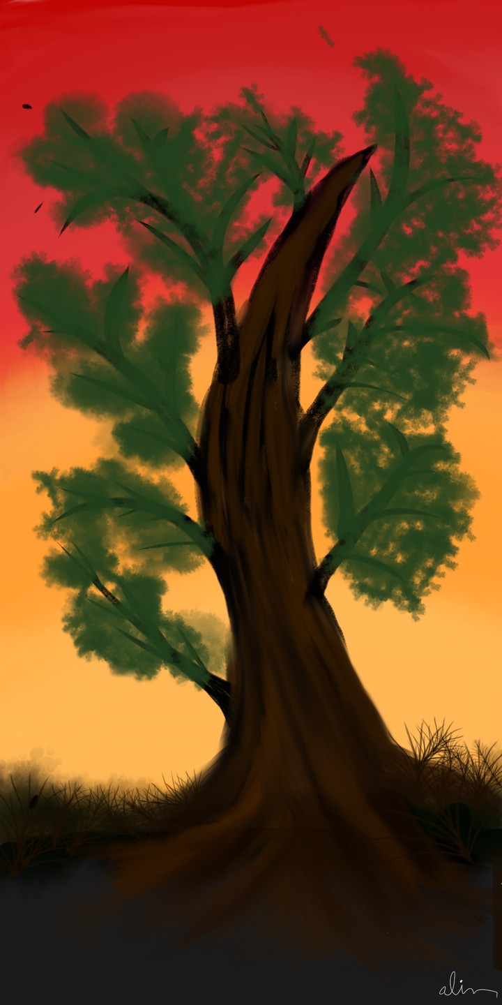 Alone Tree sunset