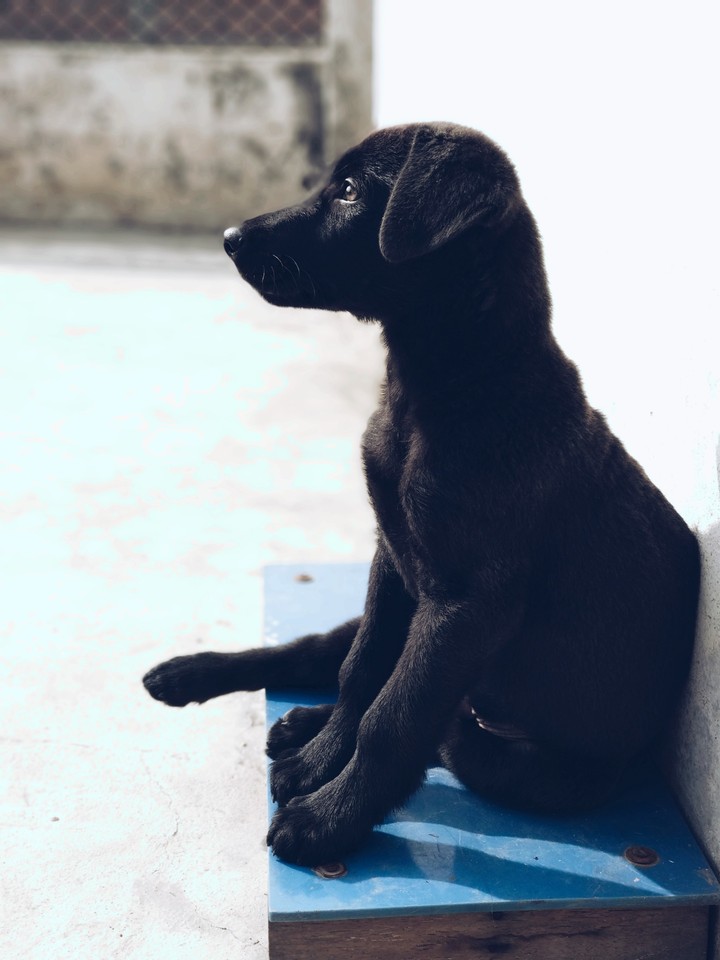 Coolest Pose made by him❤️