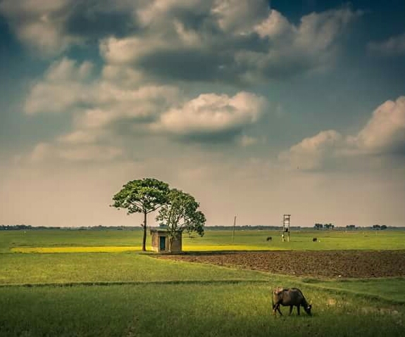 village view