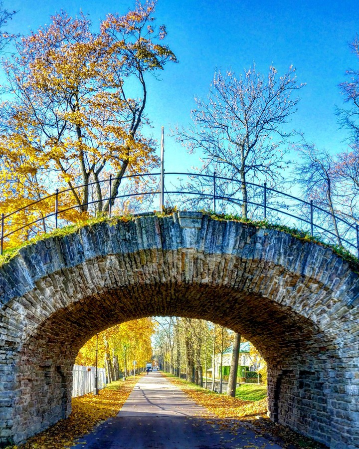 Bridge