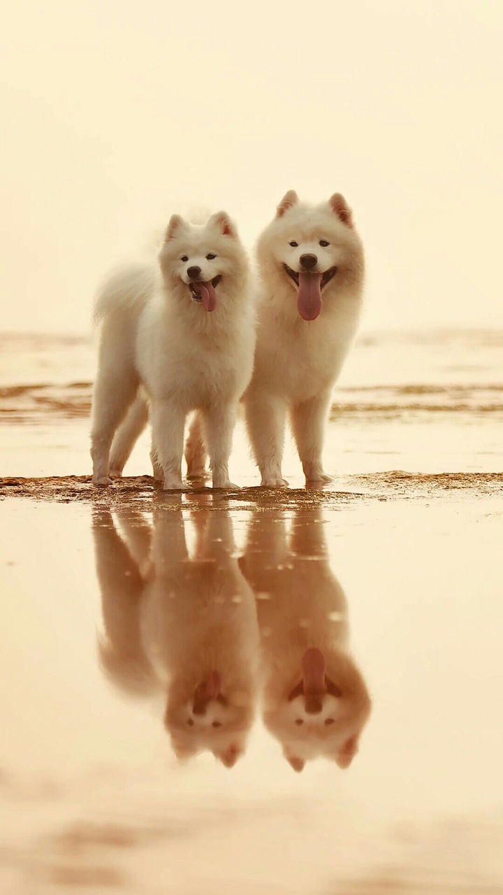 amazing!!!!