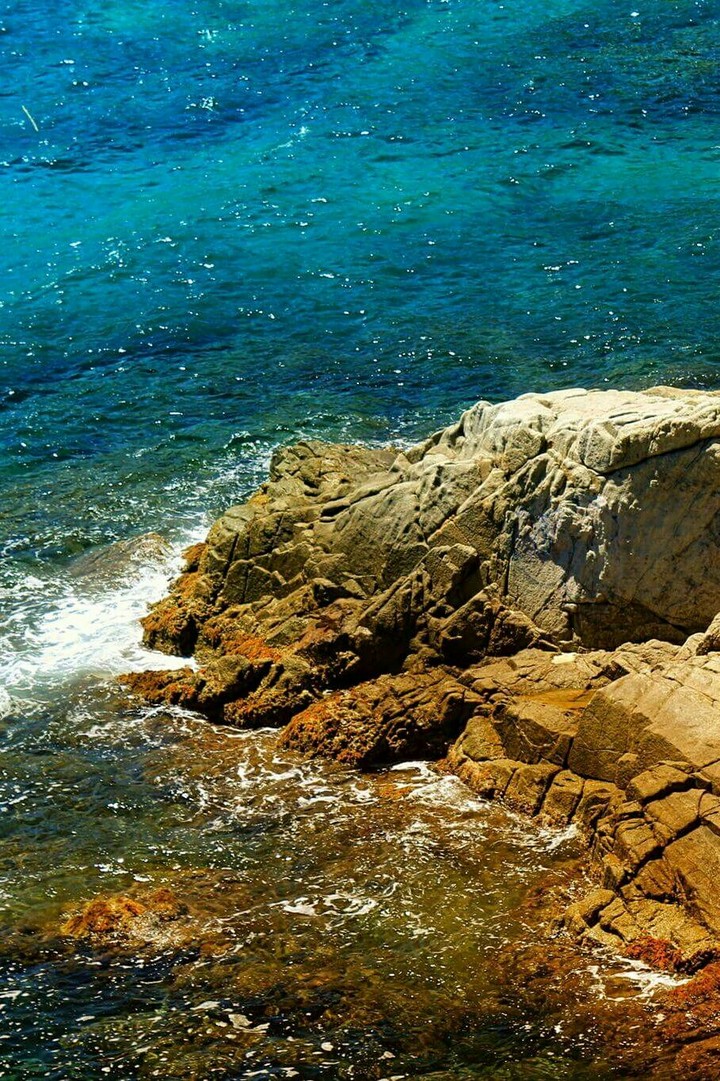 Peaceful Summer