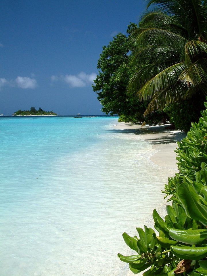Paradise