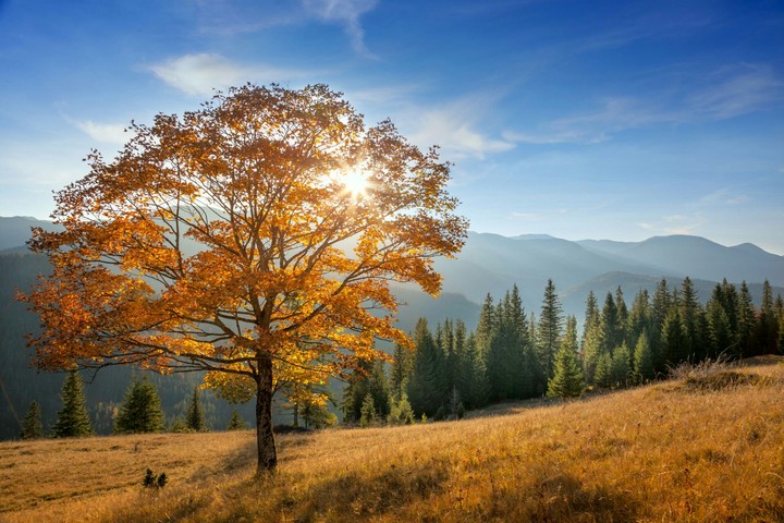 Autumn
