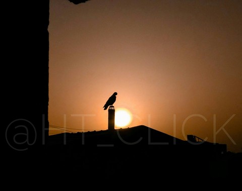 SunRise