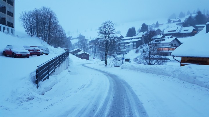 Road Todtnauberg