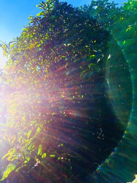 Sun Light