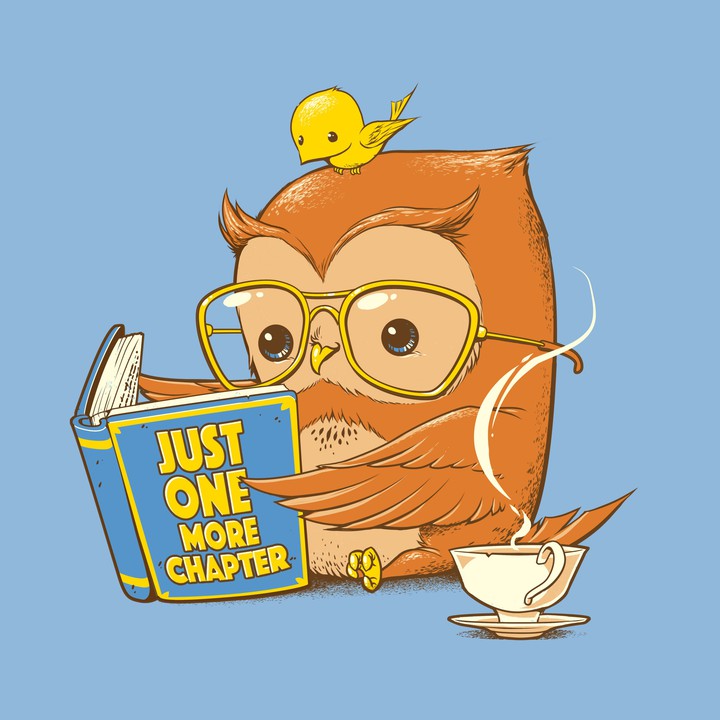 Studios Owl?