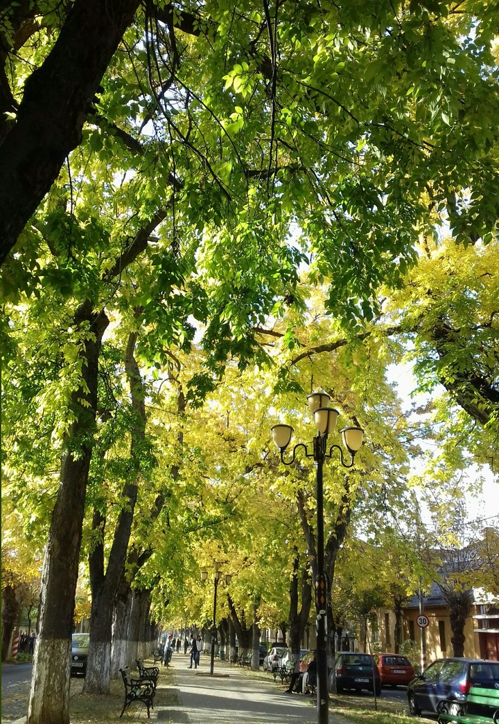 Beautiful autumn