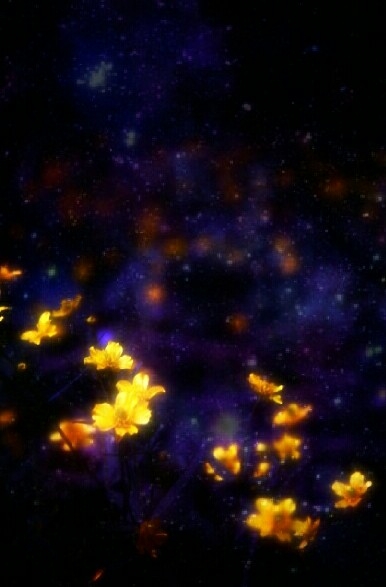 cosmic flowers
