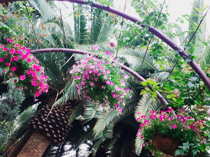 Flower arch