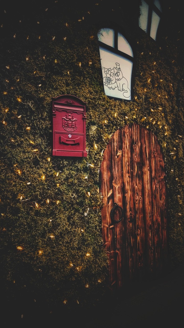 wooden door