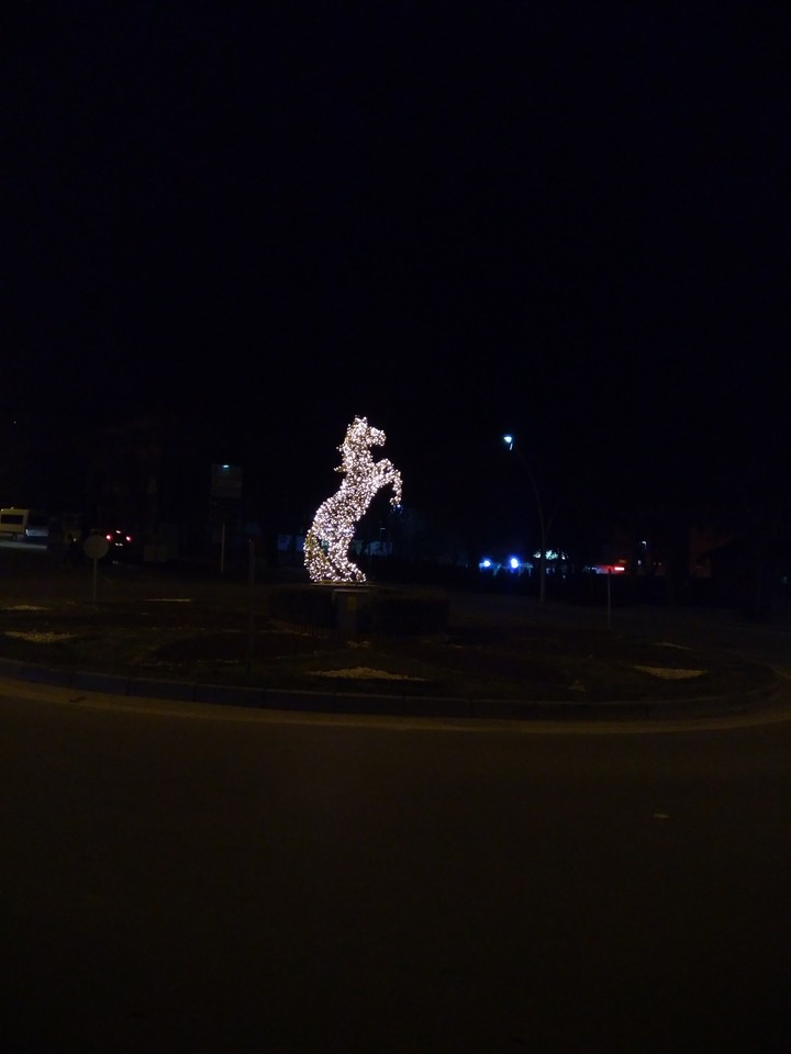 horse