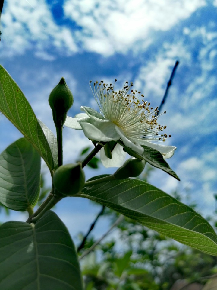 Nature sky