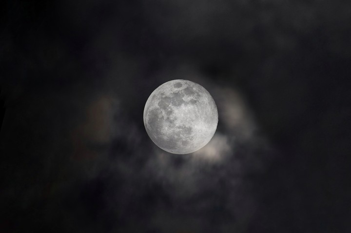 pink moon