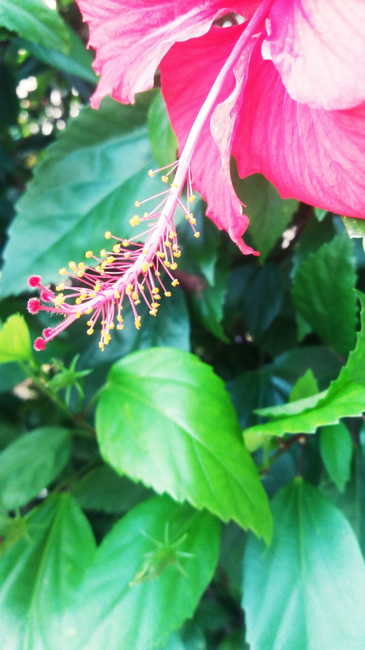 Nature