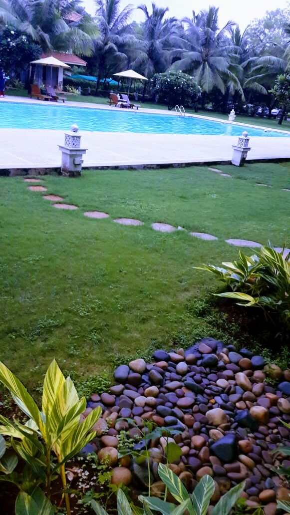 view