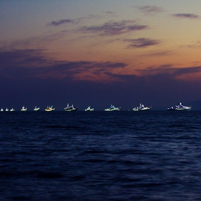 Parade of ships