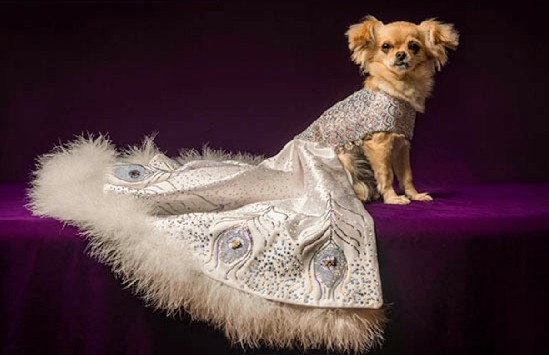 Prince