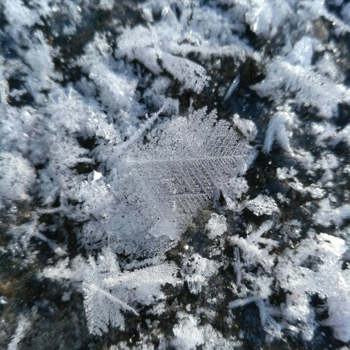 Hoarfrost