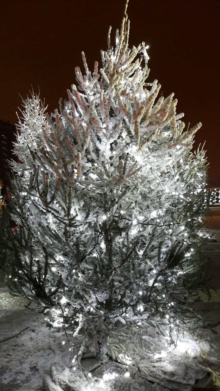 Christmas tree