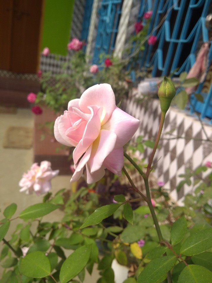 Simple click