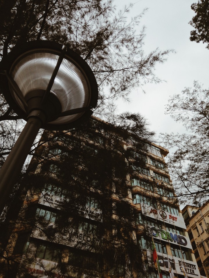 The Lamp and the Building