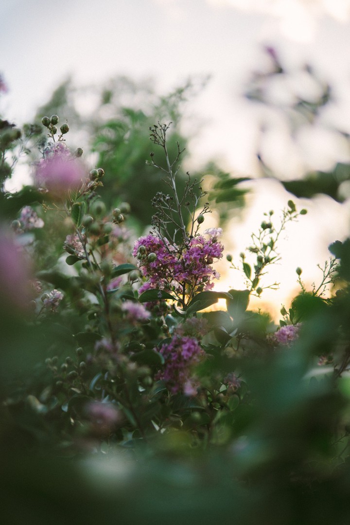 Beauty