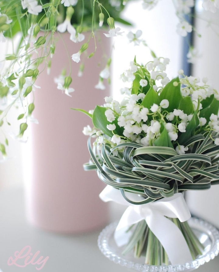 Lily of the valley